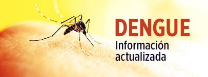 Dengue Información actualizada